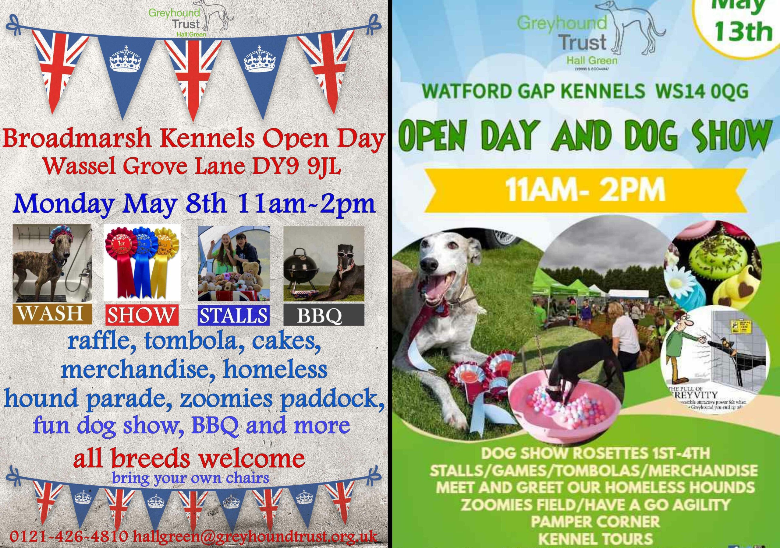 KENNEL OPEN DAYS Greyhound Trust Hall Green